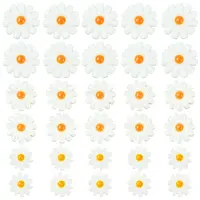 30Pcs 3 Styles Natural Freshwater Shell Beads