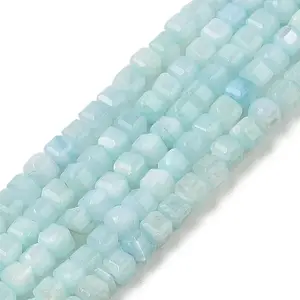 Natural Freshwater Shell Dyed Beads Strands