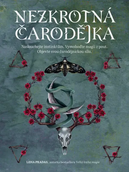 Nezkrotná čarodějka (poškozená) - Lidia Pradas