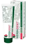HERBADENT Bylinná Zubná pasta s fluórom 75 g
