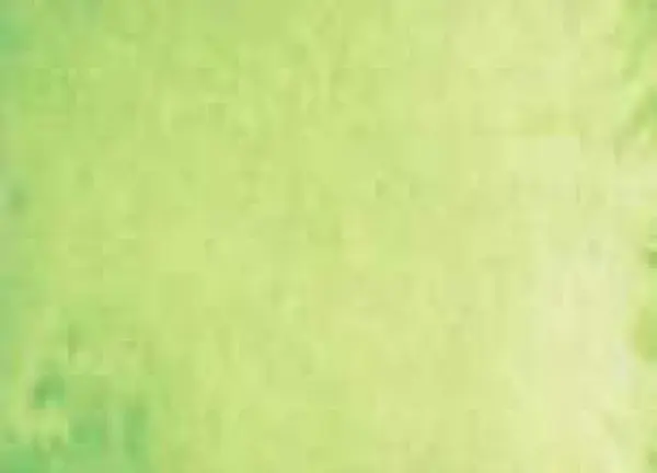 Akvarelová barva DS 15ml – 124 Phthalo Yellow Green