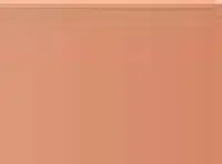 Pastel Caran d'Ache Neocolor II 497 Bronze