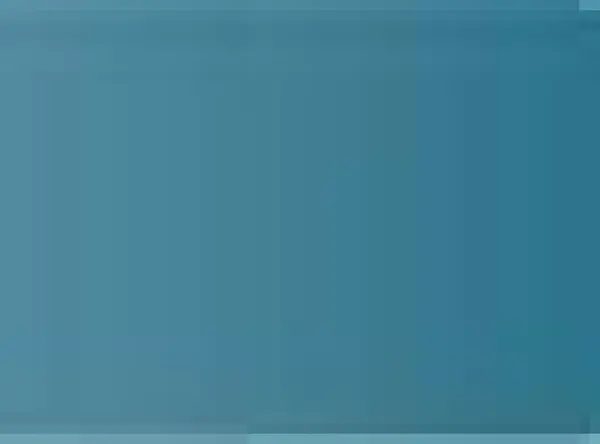 Pastel Caran d'Ache Neocolor II 007 Dark grey