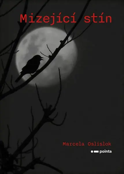 Mizející stín - Marcela Oslislok