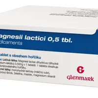 GLENMARK Magnesii Lactici 0.5g 100 tablet 100 ks