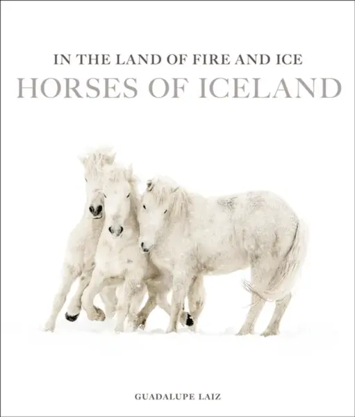 In the Land of Fire and Ice - Guadalupe Laiz