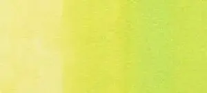 Copic sketch marker - YG01 green bice