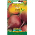 Repa šalátová Bona, guľatá