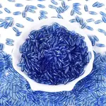 Transparent Colours Glass Seed Beads