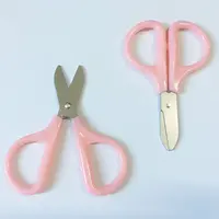 Stainless Steel Scissors