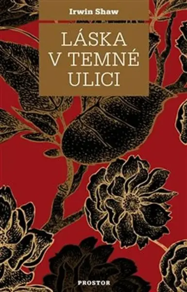 Láska v temné ulici (poškozená) - Irwin Shaw