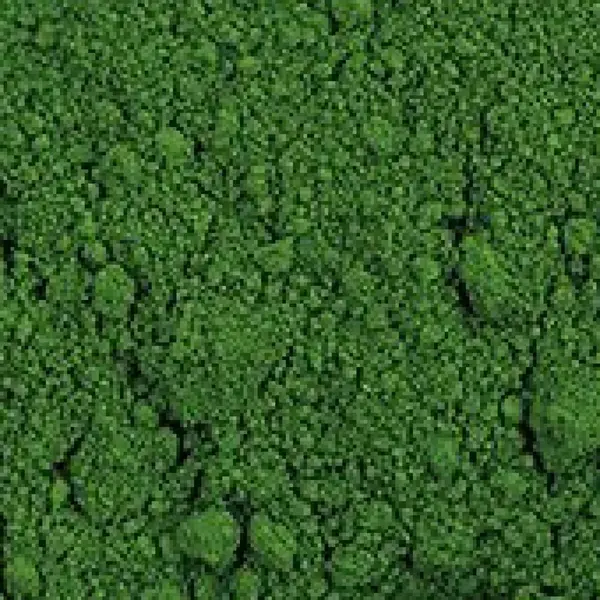 Pigment Zlatá loď 100g – 44200 Chromoxid tupý (PG17)