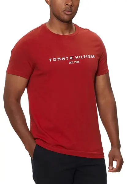 Tommy Hilfiger pánské tričko