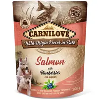Carnilove Dog Pouch Paté Salmon with Blueberries for Puppies 300 g | Kapsička pro psy
