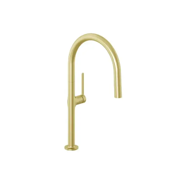 Kludi Reef - Dřezová baterie s výsuvnou sprškou, kartáčované zlato 50851N075