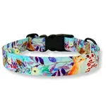 PafDog Designový obojek pro psy Fox PAF-801