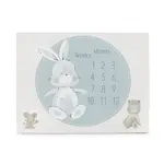 Ceba Podložka milníková na focení (92x72) Basic Friends