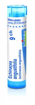 Echinacea Angustifolia 9CH gra.4g