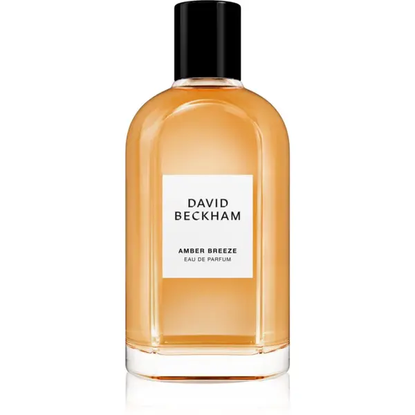 David Beckham Amber Breeze parfémovaná voda pro muže 100 ml