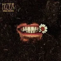 Hozier – Unreal Unearth CD
