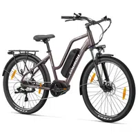 Touroll MA2 Electric Bike 250W 36V 13Ah Brown