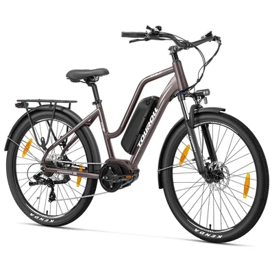 Touroll MA2 Electric Bike 250W 36V 13Ah Brown