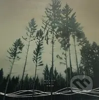 Wouter Dewit:  Hold LP - Wouter Dewit