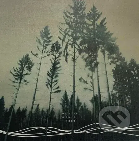Wouter Dewit:  Hold LP - Wouter Dewit