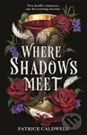Where Shadows Meet - Patrice Caldwell - kniha z kategorie Fantasy