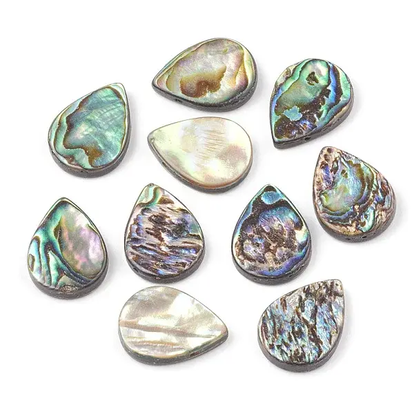 Abalone Shell/Paua Shell Beads