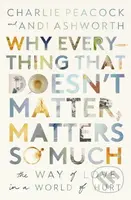 Why Everything That Doesn't Matter, Matters So Much - kniha z kategorie Filozofie