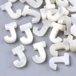 Natural Sea Shell Beads