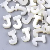 Natural Sea Shell Beads