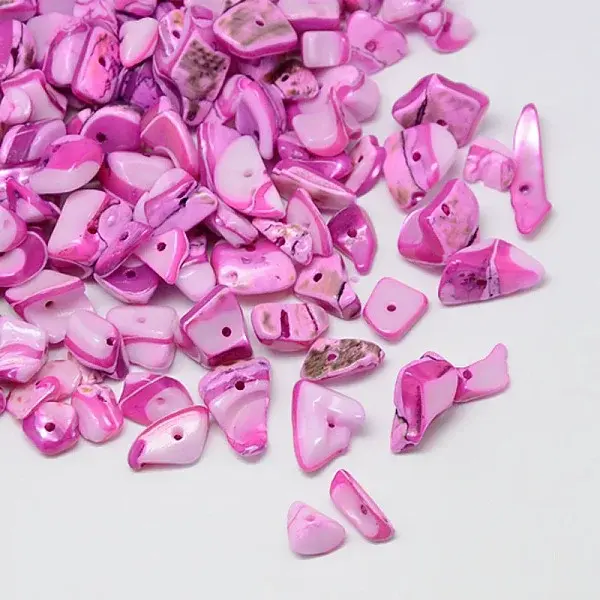 Dyed Natural Freshwater Shell Chips Beads