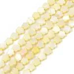 Natural Freshwater Shell Dyed Beads Strands