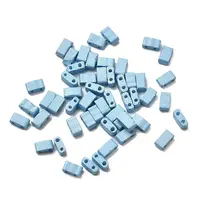 2-Hole Baking Paint Glass Seed Beads