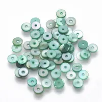 Natural Freshwater Shell Beads