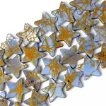 Natural Freshwater Shell Beads Strands