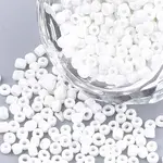 Opaque Glass Seed Beads
