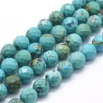 Natural Howlite Beads Strands
