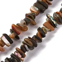 Natural Paua Shell Beads Strands