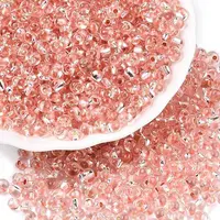 6/0 Baking Paint Transparent Fringe Glass Seed Beads