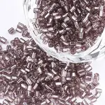 FGB Grade A Glass Seed Beads