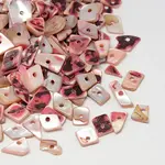 Dyed Natural Freshwater Shell Chips Beads