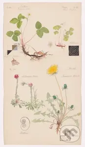 Hilma af Klint (What Stands Behind the Flowers) - Jodi (Ed) Hauptman - kniha z kategorie Malířství a sochařství