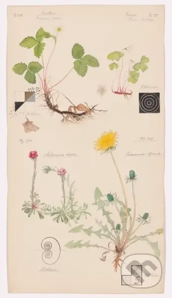 Hilma af Klint (What Stands Behind the Flowers) - Jodi (Ed) Hauptman - kniha z kategorie Malířství a sochařství