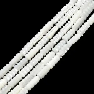 Natural Trochus Shell Beads Strands
