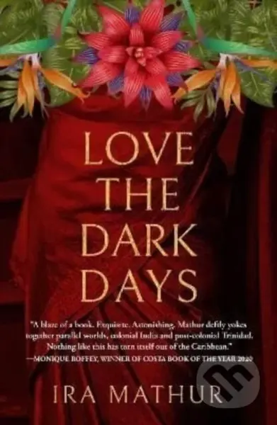 Love the Dark Days - Ira Mathur - kniha z kategorie Životopisy, reportáže a myšlenky