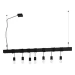 Závesné osvetlenie Eglo TOWNSHEND-B čierna 39938