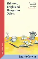 Shine on, Bright and Dangerous Object - Laurie Colwin